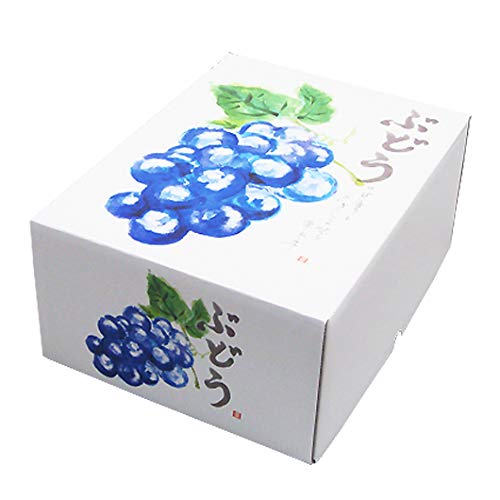 pbP[W Ԃǂp Mtg Ă̂Ԃǂ  40Zbg