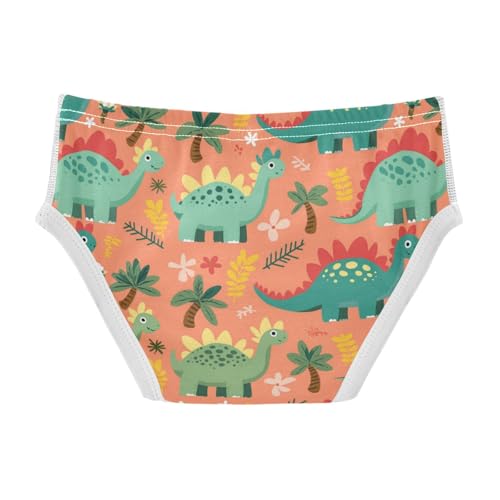 Wusikd Cute Dinosaurs Boys' Underwear Cotton Palm Trees Flowers Boys Briefs Soft Toddler Underwear 2T2