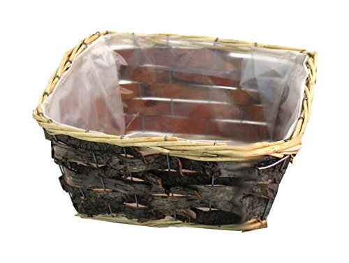 Franz Müller Flechtwaren Maceta Cuadrada de Corteza de Abedul Natural, con macetas, 22 x 22 x 12 cm Cover