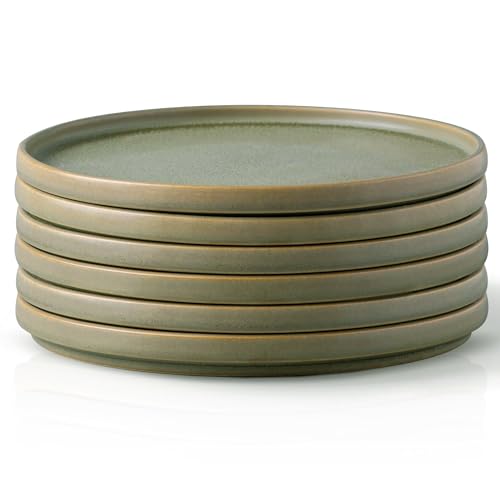 AmorArc Stoneware Dinner Plates Set of 6, 10.5 Inch Reactive Matte Glaze Ceramic Plates Set, Modern Dinnerware Dish set for Kitchen, Microwave, Dishwasher Safe