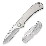 Buck Knives 0722 Spitfire Folding Knife with Clip