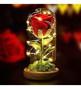 Tuitessine Rose Gifts for Women in Glass Dome Red Crochet Flower LED Light Up Eternal Forever Gif...
