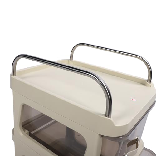 Cômoda Com Rodinhas, Arquivo Flexível Com Rodinhas, Multifuncional, Prática para o Quarto (2 camadas