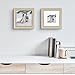 Golden State Art, Pack of 5 Acid Free Bevel Cut 4-Ply Thickness White Core Picture Mats for Photos (White, 10x10 for 6x6 Photo)
