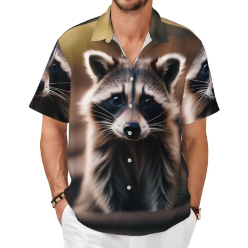 Chemise été raton laveur grande taille pour homme décontractée