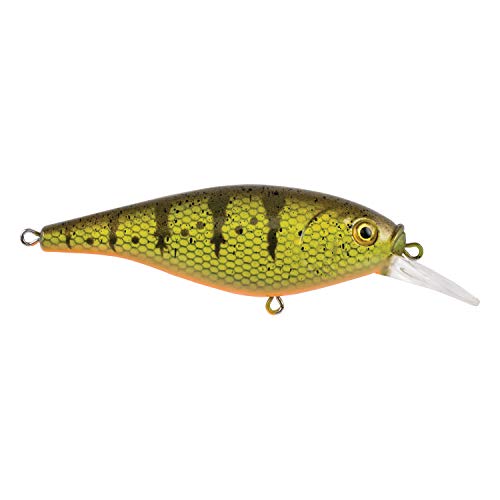 Berkley Flicker Shad Shallow Fishing Lure, Yellow Perch, 1/6 oz, 2in | 5cm Crankbaits, Size, Profile and Dive Depth Imitates Real Shad, Equipped with Fusion19 Hook
