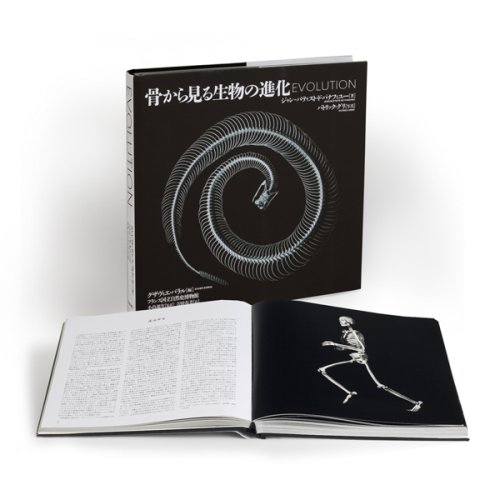 骨から見る生物の進化 | J・ド・パナフィユー(著), X・バラル(監修), P