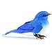 Touch of Nature 20559 1-Piece Mushroom/Feather Mountain Bluebird on Wire for Arts and Crafts, 3.5-Inch, Blue