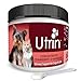 NUSENTIA Natural Urinary Health for Dogs & Cats, Amazing Dual-Action Cranberry & D-Mannose, Build Bladder Strength and Avoid Recurring UTI, 60 Servings
