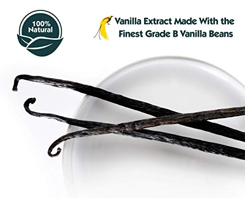Native Vanilla - Extracts Made From Premium Vanilla Bean Pods‚ For Chefs And Home Cooking, Baking, And Dessert Making (Vanilla, 16 Fl Oz (Pack Of 1)) #TOP3
