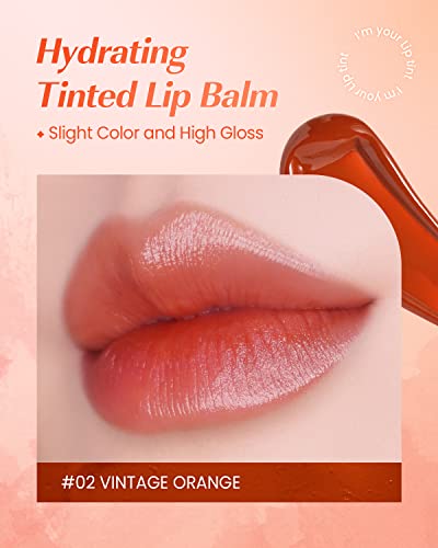 Amts Tinted Lip Balm 02 Vintage Orange | Hydrating Lip Butter, Moisturizing Lipstick | Daily Natural Lip Makeup For Dry, Cracked, Chapped Lips | Korean Beauty Lip Tint #TOP2