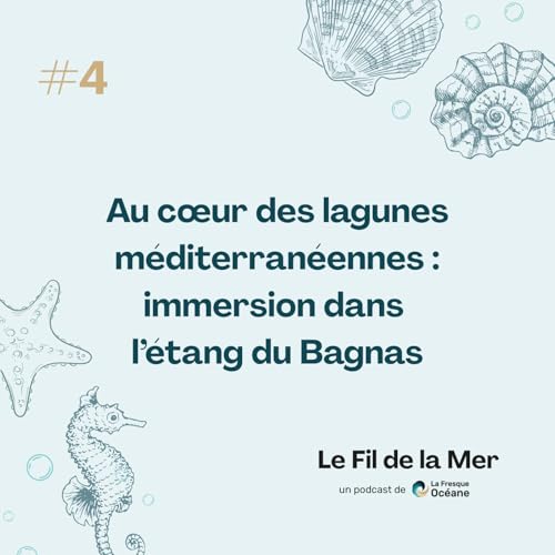 #4 Au c&oelig;ur des lagunes m&eacute;diterran&eacute;ennes : immersion dans l&rsquo;&eacute;tang du Bagnas
