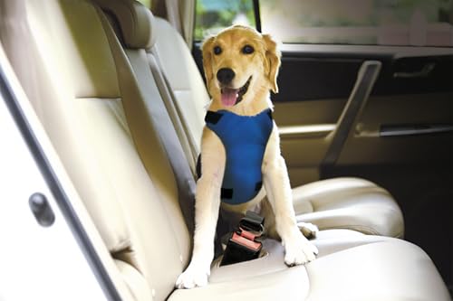 Best Friend, Safety Harness for Dogs for Car for Safe Transport, Adjustable Neck (48-72 cm) and Chest (56-72 cm) - Image 2