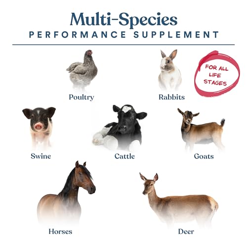 Manna Pro Calf-Manna Multi-Species Performance Supplement, 10 lb Bag | High-Protein Performance Supplement, Supports Growth & Weight Gain, For Livestock, Poultry, Rabbits, Horses & More - Image 2
