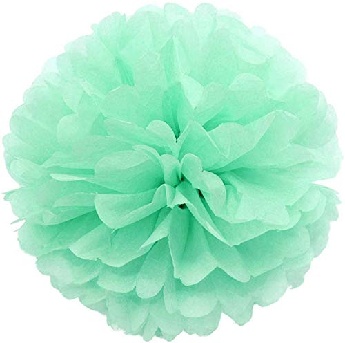 EliteKoopers Tissue Paper Fluffy Pompoms Flower Balls For Wedding Party Decoration (1Pcs)