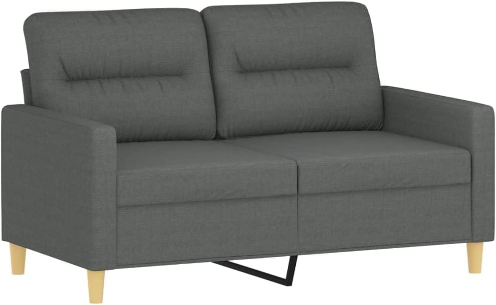 BOWERY HILL Contemporary Metal Sofa Set, Dark Grey Polyester Fabric, Rectangular Shape, Matte Finish, 2-Seater and 3-Seater Sofas, Seating Capacity for 5, Living Room Furniture
