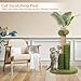 Chewtoyo Cactus Design Cat Scratching Post, Sisal Scratch Pole for Indoor Kittens and Cats, 19In Tree with Artificial Leaves and Dangling Toys