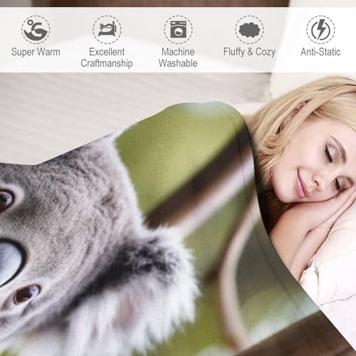 Manta de koala para sofá que transforma tu salón en un nido cálido 6