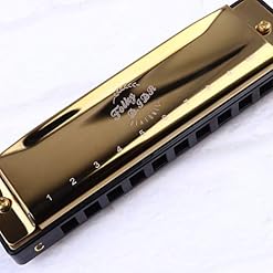 FARUTA Harmonica professionnel 10 trous Blues Harmonica bouche Orgue pour débutants adultes enfants Cadeau noir (couleur… - Les Beatles, Paul McCartney, John Lennon, RIngo Starr, George Harrison FARUTA Harmonica professionnel 10 trous Blues Harmonica bouche Orgue pour débutants adultes enfants Cadeau noir (couleur… – Image 4