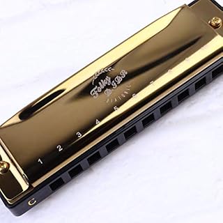 FARUTA Harmonica professionnel 10 trous Blues Harmonica bouche Orgue pour débutants adultes enfants Cadeau noir (couleur… - Les Beatles, Paul McCartney, John Lennon, RIngo Starr, George Harrison FARUTA Harmonica professionnel 10 trous Blues Harmonica bouche Orgue pour débutants adultes enfants Cadeau noir (couleur… – Image 4