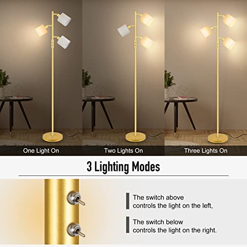 Gold Floor Lamps For Living Room, 3 Color Temperature, 3-Light Tree Standing Lamp, Minimalist Corner Floor Lamp With Lamp Shades Modern Pole Lamp For Bedroom Office Kids Room, Reading (5W Led Bulbs) #TOP1