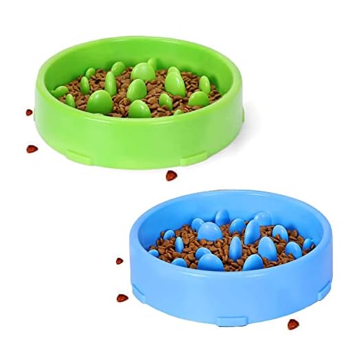 2 stuks Aantislip Interactieve Hondenbak, Slow Feeder Bowl Voorkomen Verstikking , voor Honden en Katten om Slikken en Overeten te Verminderen