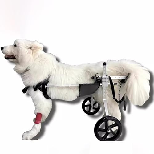 Genérico Silla de Ruedas para Perros de tamaño Mediano o Grande para Patas traseras, Silla de Ruedas con Asistencia para Mascotas Ajustable para el Entrenamiento de rehabilitación de Las ex