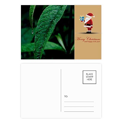 Cartes postales nature et père Noël pour correspondance hivernale lot 20