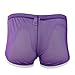 CHICTRY Mens Soft Sheer Mesh Boxer Briefs Shorts Underwear Panties (Medium(Waist:27.5-38.5