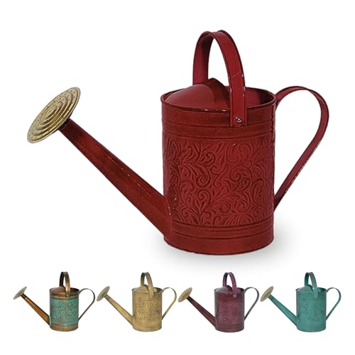 Robert Allen MPT01184 Morgan Metal Watering Can, 1 Gallon, Autumn Blaze