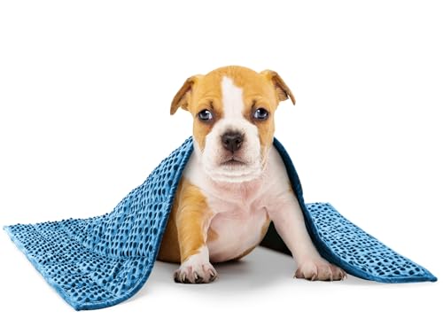 YUSRA Small Weighted Blanket for Dogs, Weighted Dog Blanket Especially for Thunderstorms, Fireworks, Separation, Travel, Bed and Couch, Machine Washable, Soft Dog Blanket (Blue 19 * 22inch 3lbs)