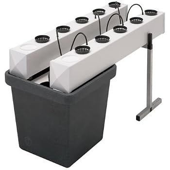 ETE ETMATE Sistema de Cultivo hidropónico del Sistema hidropónico ...