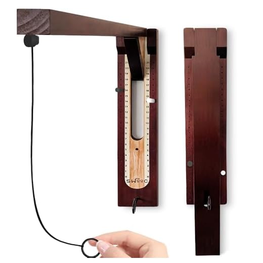 Fun and Stylish Wall Hook Ring Game