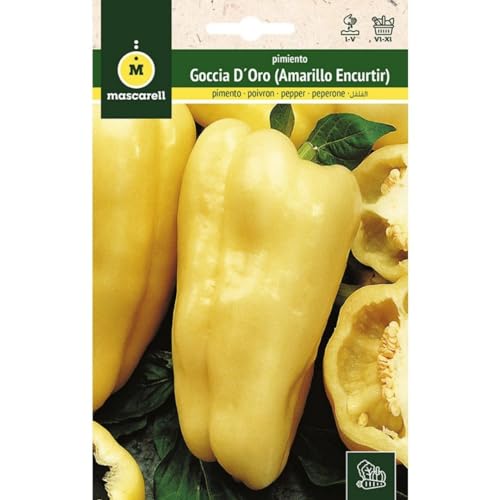 Mascarell Semillas, PIMIENTO, Semillas Huerto, PIMIENTO GOCCIA D´ORO - AMARILLO (ENCURTIDO), Crea tu Propio Huerto Urbano y Cultivo en Casa, Plantas Hortícolas, 1 Gramos