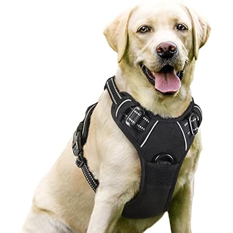 rabbitgoo Large Dog No Pull Harness Cover