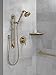 DELTA FAUCET 51600-CZ Adjustable Slide Grab Bar Assembly with Elbow Handshower, Champagne Bronze