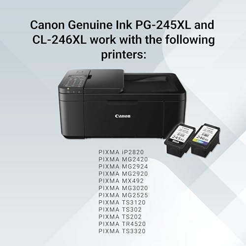 Image of Canon PG-245XL / CL-246XL High-Yield Ink Cartridge Combo - 2-Pack (2 Black, 2 Tri-Color) | Compatible PIXMA MG2522, MX492, TS3122, TR4520 & More | Crisp Text & Vibrant Color Prints