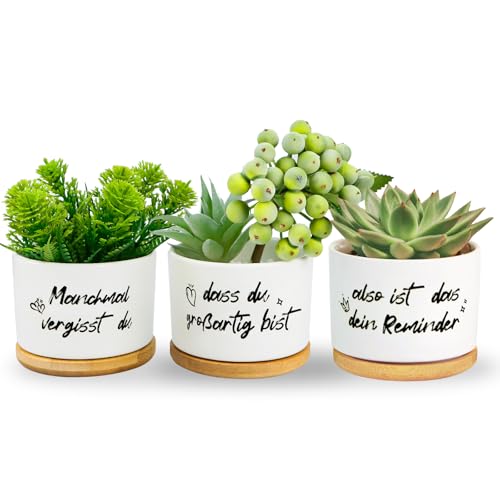Aomaic 3 Stück Sukkulenten Töpfe, Blumentöpfe Geburtstagsgeschenk Geschenke für Schwester Mama Kinder Familie Freund mit Manchmal vergisst du, DASS du großartig bist, Also ist das Dein Reminder