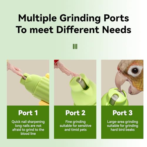 Image of Bird Nail Grinder Upgraded Bird & Cat Nail Clipper rwith LED Lamp 2-Speed Electric Rechargeable Bird Beak Grinding Stone for Cats Dogs Bird Parrot Budgerigars Parakeets Myna Conure Parakeets Lovebirds