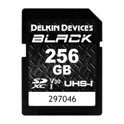 Delkin Devices �u���b�N ��� SDHC �������[�J�[�h UHS-I C10 U3 V30 �t��HD & 4K�r�f�I �ő�90MB/�b�ǂݍ��� 90MB/�b ��������(256GB)