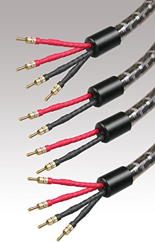 Straightwire crescendo 3 SC cavi altoparlante 15