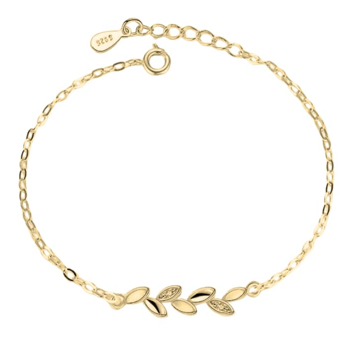 Nilu's CollectionCopper Sterling Silver Plated Charm Bracelet for Women & Girls