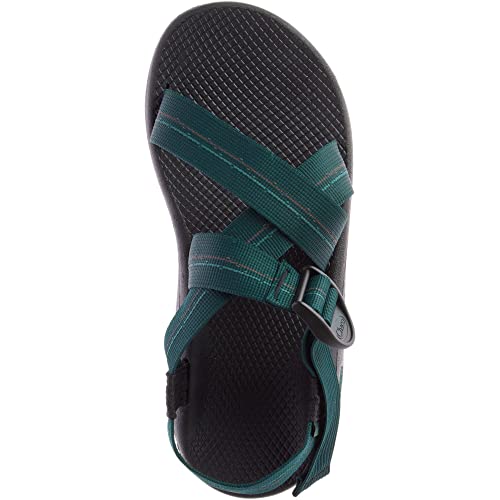 Image of Chaco Women's Zcloud Sandal