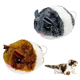 Vauki 2 Stück Hamster Plüschtier Aufziehspielzeug, Interaktives Katzen Jagdspielzeug, Interactive Katzenspielzeug Hamster, Kleines Katzenspielzeug Maus für Katzen Fördert Jagdinstinkt
