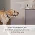 Outdoor Cam Plus Battery, Black with Ring Pan-Tilt Indoor Cam, Black