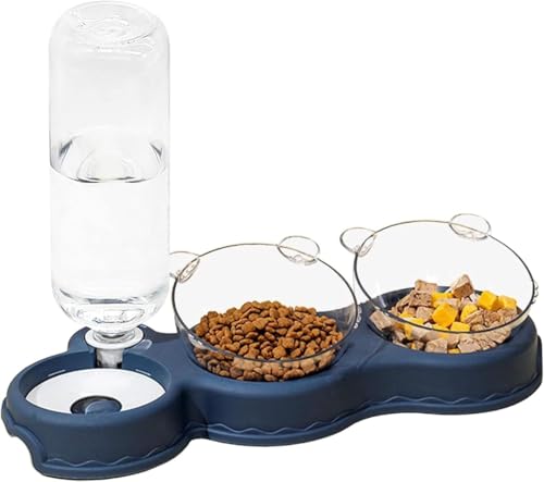 Riuuyyi ybg{EL a L M L юM  ё ybgH L {E  Hׂ邽߂15x̌X łی삷 GT O\ L̋a{E  (lCr[)