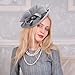 Zinniday Gray Tea Party Fascinator - Vintage Fashion Veil Kentucky Hat Hair Accessory Costume for 1920s 50s Wedding Church Derby Headdress Cocktail Birthday Masquerade Prom Ball Carnival Party