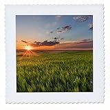 Square dimensions (in inches): 25 L x 25 W, image dimensions (in inches): 23 L x 23 W 100% poloyester; image is soft to touch. Made in USA Edges have pinking shear cut Image will not fade with washing. Image not a transfer, part of material