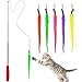 Diealles [6 in 1] Retráctil Natural de Plumas Varita Gato Juguete con 5 Gusano de Plumas para Gatos y Gatitos
