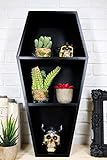 Ebros Gothic Graveyard Creepy Oddity Light Duty Black Coffin Casket Shelving Display Wall Hanging...